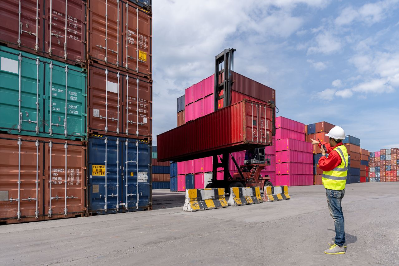 Diseño sin título - 2025-02-21T174142.960