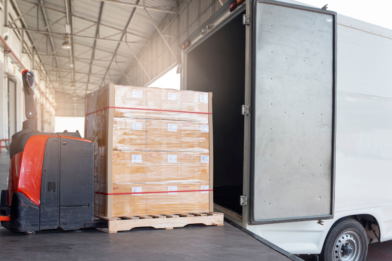 Diseño sin título - 2025-02-21T174151.159