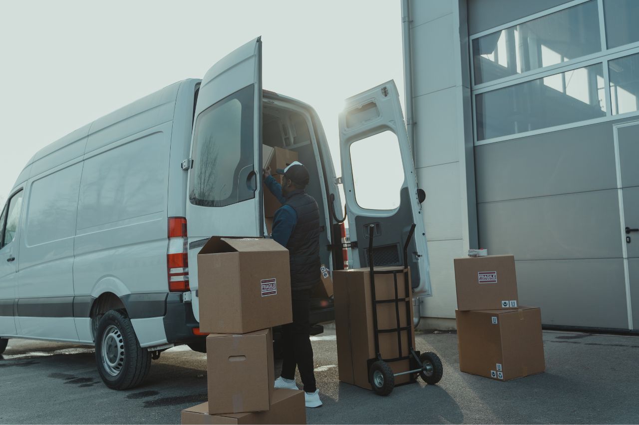 Diseño sin título - 2025-02-21T174158.255